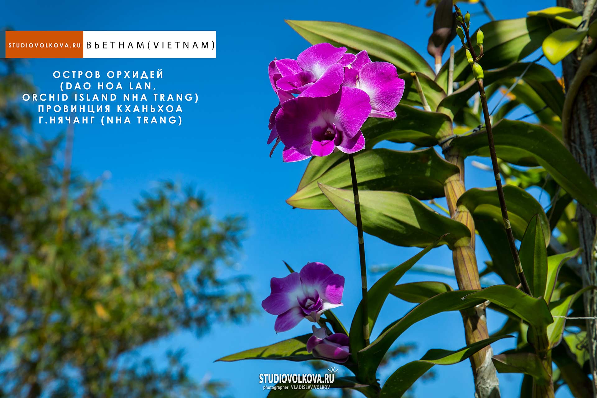 Остров Орхидей (Dao Hoa Lan, Orchid island Nha Trang). фотограф Владислав ВОЛКОВ