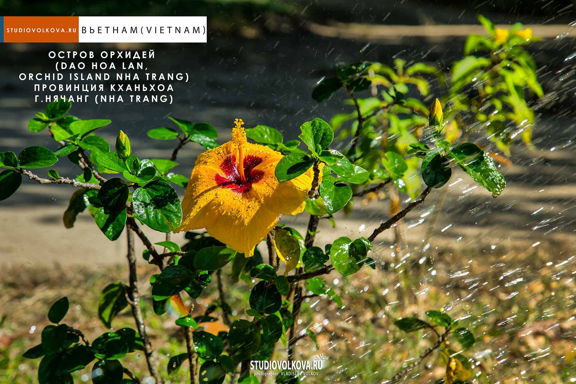 Остров Орхидей (Dao Hoa Lan, Orchid island Nha Trang). фотограф Владислав ВОЛКОВ